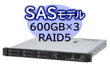 Express5800/D/R110m-1 Xeon E-2434 4C/16GB/SAS 600GB*3 RAID5/W2022/ラック