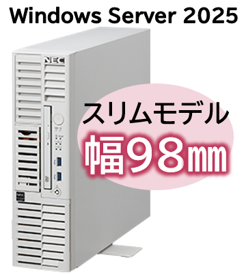 Express5800/D/T110m-S(RAID1対応コントローラ搭載) Xeon 6315P 4C/16GB/SAS 600GB*2 RAID1/W2025/タワー 3年保証