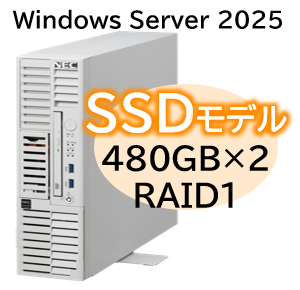 Express5800/D/T110m-S(RAID1対応コントローラ搭載) Xeon 6315P 4C/16GB/SSD 480GB*2 RAID1/W2025/タワー 3年保証