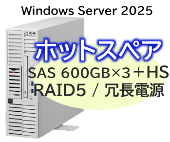 Express5800/D/T110m-S(RAID5対応コントローラ搭載) Xeon 6333P 6C/32GB/SAS 600GB*4 RAID5/冗長電源/W2025/タワー 3年保証