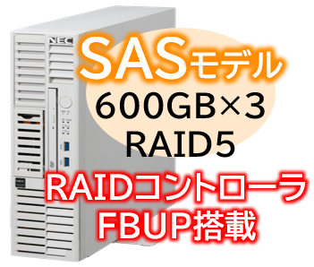 Express5800/D/T110m-S(RAID5対応コントローラ搭載) Xeon 6315P 4C/16GB/SAS 600GB*3 RAID5 FBU/電源*2/W2022/タワー 3年保証