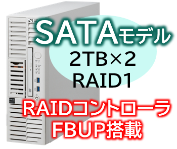 Express5800/D/T110m-S(RAID1対応コントローラ搭載) Xeon 6315P 4C/16GB/SATA 2TB*2 RAID1 FBU/電源*2/W2022/タワー 3年保証