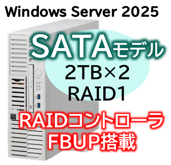 Express5800/D/T110m-S(RAID1対応コントローラ搭載) Xeon 6315P 4C/16GB/SATA 2TB*2 RAID1 FBU/電源*2/W2025/タワー 3年保証