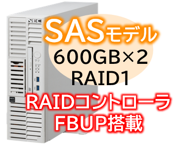 Express5800/D/T110m-S(RAID1対応コントローラ搭載) Xeon 6315P 4C/16GB/SAS 600GB*2 RAID1 FBU/電源*2/W2022/タワー 3年保証