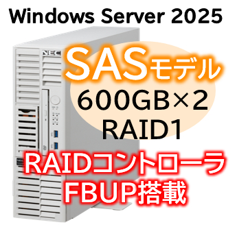Express5800/D/T110m-S(RAID1対応コントローラ搭載) Xeon 6315P 4C/16GB/SAS 600GB*2 RAID1 FBU/電源*2/W2025/タワー 3年保証
