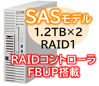 Express5800/D/T110m-S(RAID1対応コントローラ搭載) Xeon 6315P 4C/16GB/SAS 1.2TB*2 RAID1 FBU/電源*2/W2022/タワー 3年保証