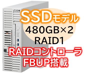 Express5800/D/T110m-S(RAID1対応コントローラ搭載) Xeon 6315P 4C/16GB/SSD 480GB*2 RAID1 FBU/電源*2/W2022/タワー 3年保証