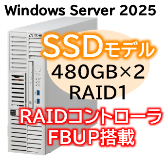 Express5800/D/T110m-S(RAID1対応コントローラ搭載) Xeon 6315P 4C/16GB/SSD 480GB*2 RAID1 FBU/電源*2/W2025/タワー 3年保証