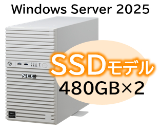 Express5800/D/T110m Xeon 6315P 4C/16GB/SSD 480GB*2 RAID1/W2025/タワー 3年保証