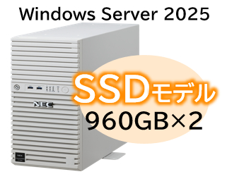 Express5800/D/T110m Xeon 6315P 4C/16GB/SSD 960GB*2 RAID1/W2025/タワー 3年保証