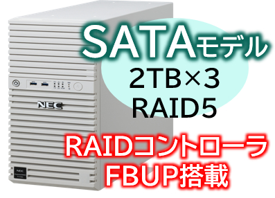 Express5800/D/T110m(RAID5対応コントローラ搭載) Xeon 6315P 4C/16GB/SATA 2TB*3 RAID5 FBU/電源*1/W2022/タワー 3年保証