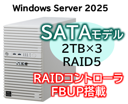Express5800/D/T110m(RAID5対応コントローラ搭載) Xeon 6315P 4C/16GB/SATA 2TB*3 RAID5 FBU/電源*1/W2025/タワー 3年保証