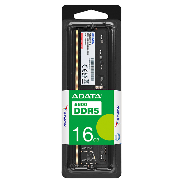 Premier DDR5-5600MHz U-DIMM 16GB SINGLE TRAY