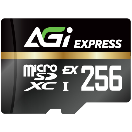TF338 Micro SDXC Express 256GB UHS-I U3 V30 C10 R/W up to 800/700 MB/s