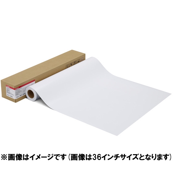 写真用紙・光沢 プロ[プラチナグレード] LFM-GPPT/24/300