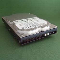内蔵用 拡張IDE HDD (61.4GB/7200rpm) (IBM PC/Aptiva)