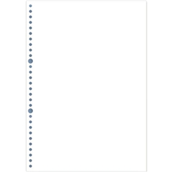 ページプリンタ元帳 A4白紙(30穴) 2000枚