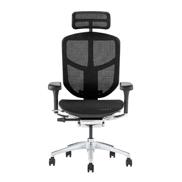 EJ2-HAM-BF-BK【PU】 エルゴヒューマン エンジョイⅡ ハイタイプ ブラックフレーム/ブラック