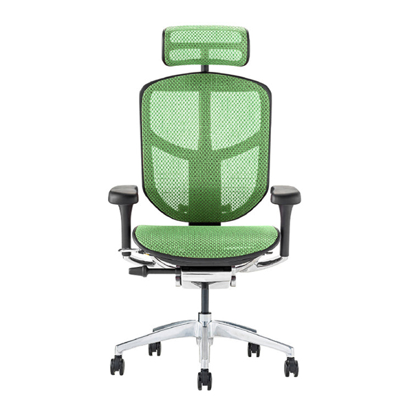 EJ2-HAM-BF-GN【PU】 エルゴヒューマン エンジョイⅡ ハイタイプ ブラックフレーム/グリーン