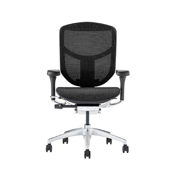 EJ2-LAM-BF-BK【PU】 エルゴヒューマン エンジョイⅡ ロータイプ ブラックフレーム/ブラック