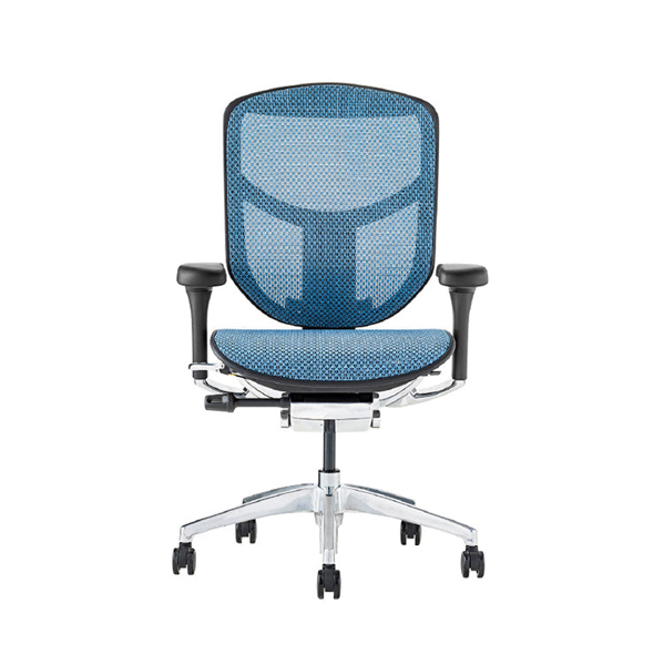 EJ2-LAM-BF-BL【PU】 エルゴヒューマン エンジョイⅡ ロータイプ ブラックフレーム/ブルー