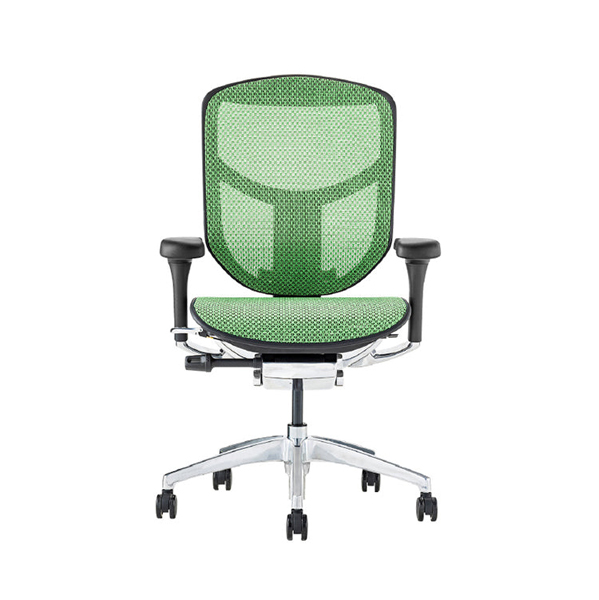 EJ2-LAM-BF-GN【PU】 エルゴヒューマン エンジョイⅡ ロータイプ ブラックフレーム/グリーン