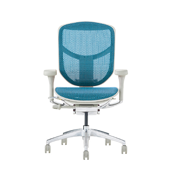 EJ2-LAM-GF-BL【PU】 エルゴヒューマン エンジョイⅡ ロータイプ グレーフレーム/ブルー