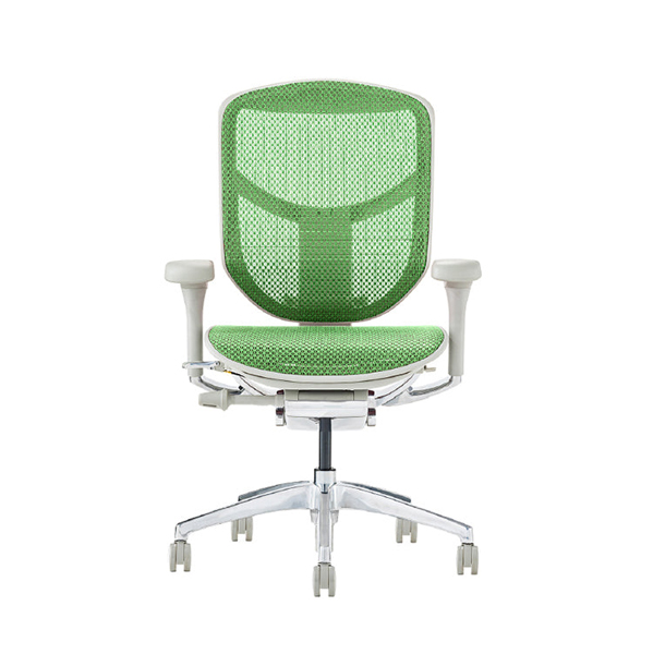 EJ2-LAM-GF-GN【PU】 エルゴヒューマン エンジョイⅡ ロータイプ グレーフレーム/グリーン