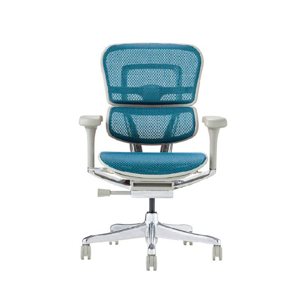 EHP2-LAM-DR-GF-BL【PU】新基盤 エルゴヒューマン プロII ロータイプ オットマン付 新基盤 グレーフレーム/ブルー