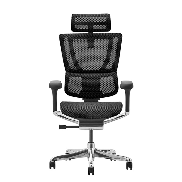 FIT2-HAM-DR-BF-BK【新基盤】 エルゴヒューマン フィットⅡ ハイタイプ 新基盤 ブラックフレーム/ブラック