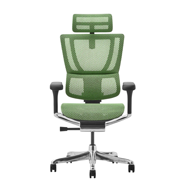 FIT2-HAM-DR-BF-GN【新基盤】 エルゴヒューマン フィットⅡ ハイタイプ 新基盤 ブラックフレーム/グリーン