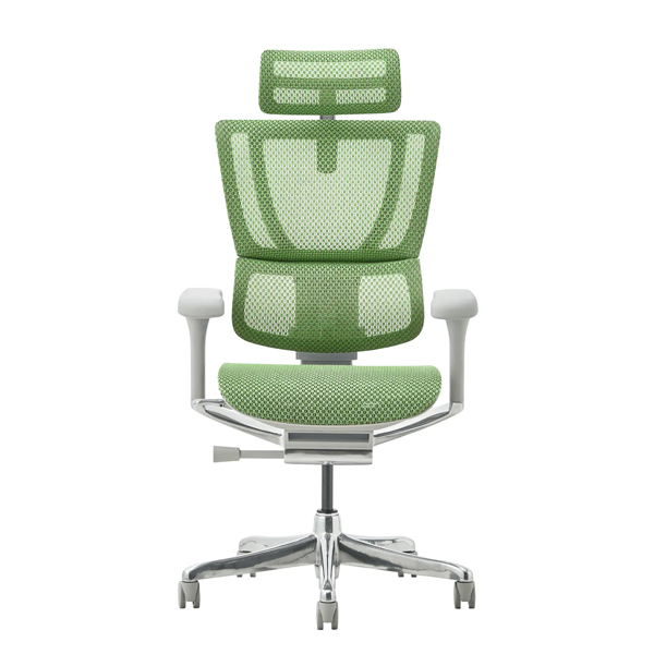 FIT2-HAM-DR-GF-GN【新基盤】 エルゴヒューマン フィットⅡ ハイタイプ 新基盤 グレーフレーム/グリーン