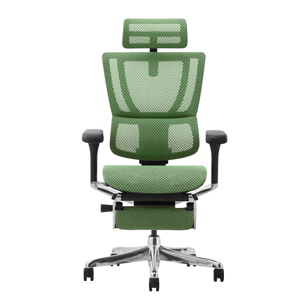 FIT2-LPL-DR-BF-GN【新基盤】 エルゴヒューマン フィットⅡ ハイタイプ オットマン付 新基盤 ブラックフレーム/グリーン