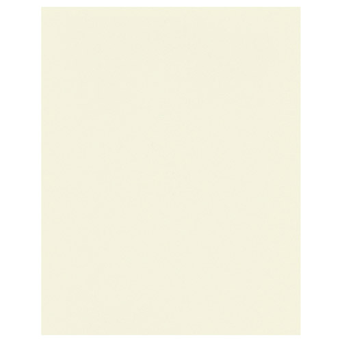 無地台紙 No.790 2L（カビネ）サイズ 1面（タテ） クリーム