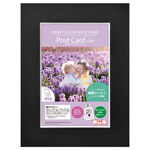 インサートカラーペーパースタンド ポストカードサイズ ブラック