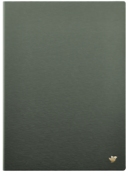 iFLYTEK AINOTE Original Protective Case-Forest