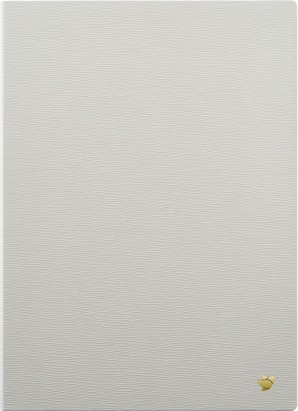 iFLYTEK AINOTE Original Protective Case-Mist