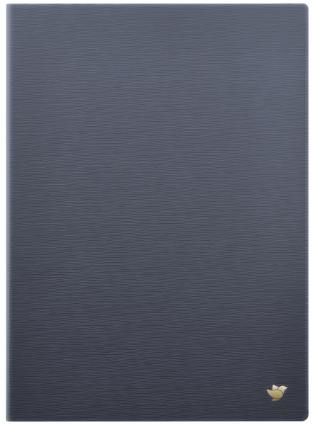 iFLYTEK AINOTE Original Protective Case-Slate