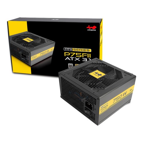 P75FII ATX 3.1(正式型番：IW-PS-PFII750W)/80PLUS GOLD取得/750W電源/ATX 3.1準拠/PCI-E 12V-2x6 コネクター搭載/ケーブル直付け式/5年保証