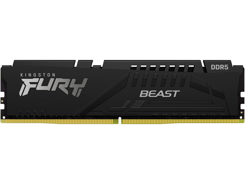16GB DDR5 5600MT/s CL36 DIMM FURY Beast Black EXPO