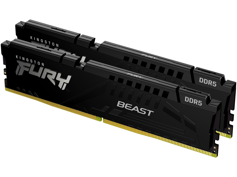 16GB 2枚組 DDR5 5600MT/s CL36 DIMM FURY Beast Black EXPO