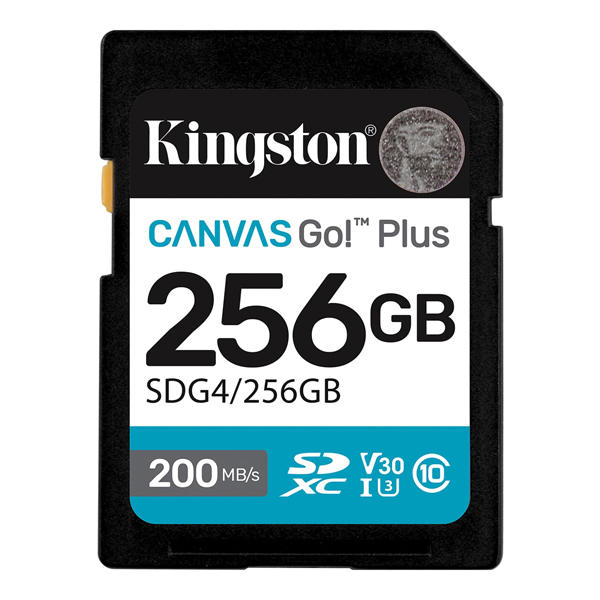 256GB SDXCカード Canvas Go! Plus Class 10 UHS-I U3 最大200MB/秒読取