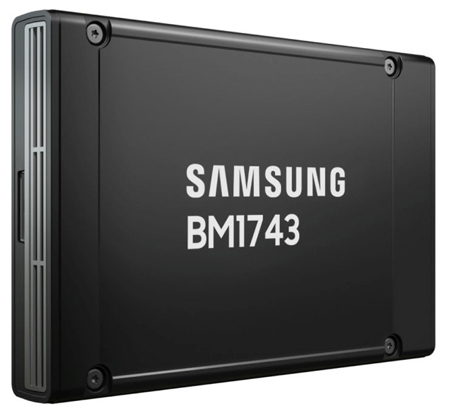 TS 2.5型 U.2 BM1743 61.44TB NVMe RI HS SSD