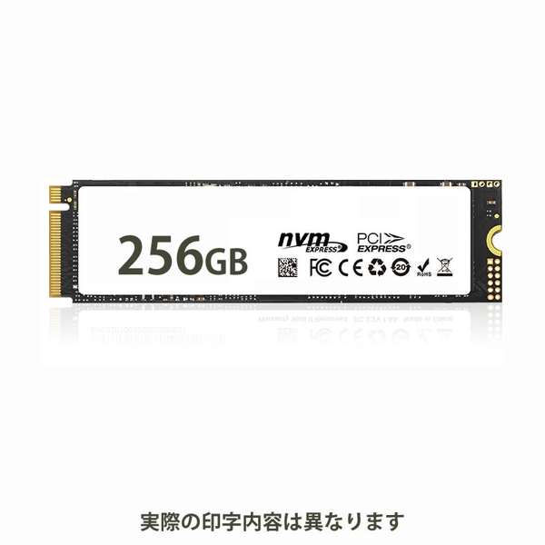 HIDISC NVMe SSD 256GB R3000 W1300