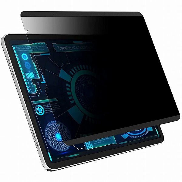 iPad Air（第5・4世代）10.9対応 覗き見防止フィルム（マグネット吸着）（横向き専用） マット