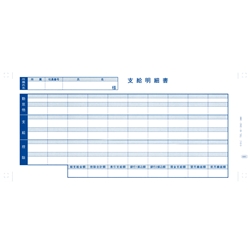 支給明細書(6001)