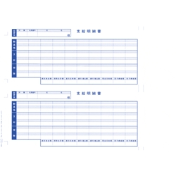 単票支給明細書(6101)