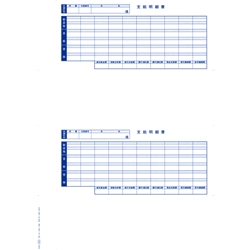 単票封筒用支給明細書(6202)