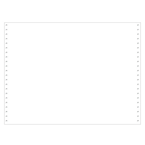 ストックフォーム 10インチ・無地 2000枚