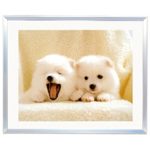 FUJICOLOR アルミ額縁 A10N 半切 シルバー